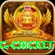 1st inning betting cricket Gold Pro v4.3.4