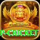 2022 world cup cricket Apps (Tools & Injectors) Pro v1.0.5
