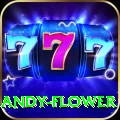 andy flower Pro Edition v1.8.2