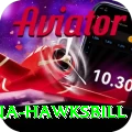 antigua hawksbill Elite Pro v4.9.4