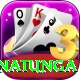 arjuna ranatunga VIP Pro v4.1.2