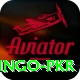 Bingo PKR Premium v1.2.9