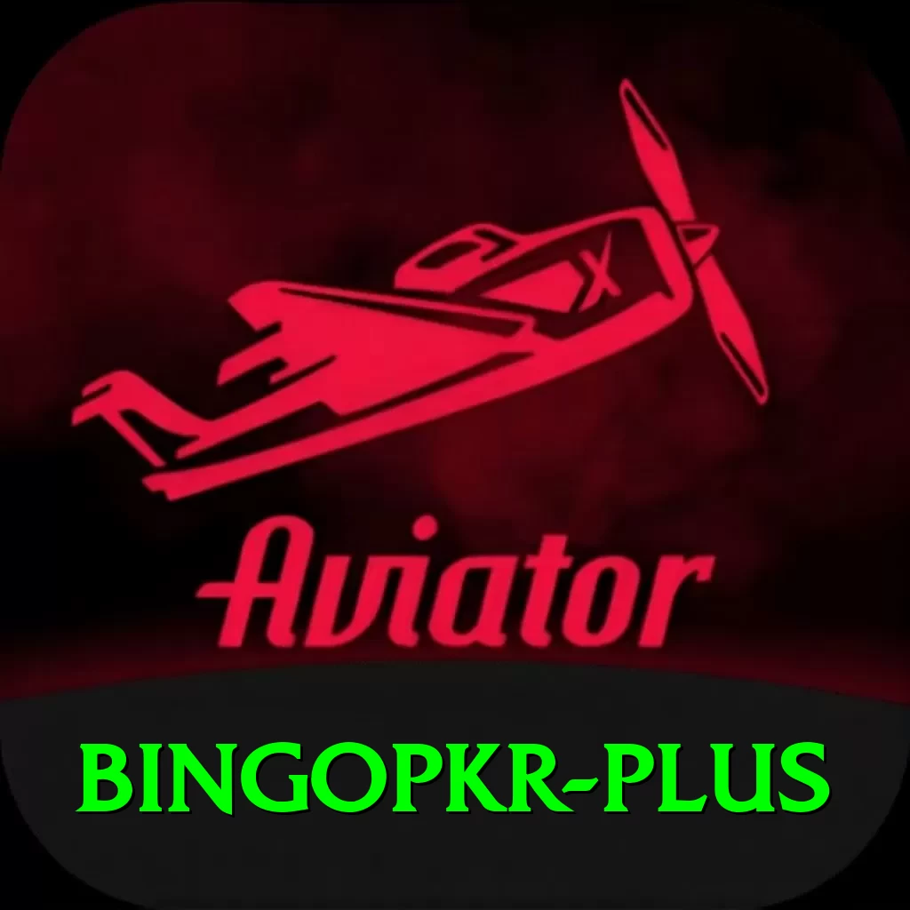 bingopkr Pro v3.2.4 - 2