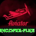 bingopkr Pro v3.2.4