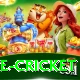 bpl live cricket Max v5.2.8