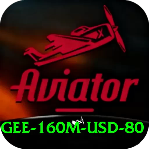 bungee 160m usd 80 Master v4.1.8 - 2