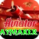 cam playmaker Elite v3.6.6