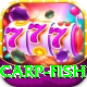 carp fish Apps (Tools & Injectors) Premium v2.0.6