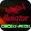 cricket pitch Max Pro v5.0.4