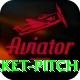 cricket pitch Max Pro v5.0.4