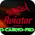 crypto casino Premium - Free Download