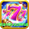 david gower Gold Pro v4.6.0