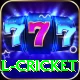 defending total cricket Max v2.3.8
