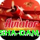 diamer bhasha dam Games (Casino & Earning) Max v4.3.0