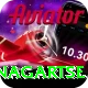 dingboche nagartse Elite v2.9.8