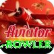 economy rate bowler Deluxe v5.0.8