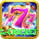 eng cricket Apps (Tools & Injectors) Pro v3.9.6