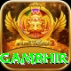 gautam gambhir Games (Casino & Earning) Plus v5.8.1