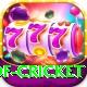 god of cricket Gold Pro v1.9.7