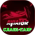 grass carp Max v5.8.9