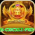 india pakistan cricket Pro APK v1.7.7
