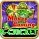 india sri lanka cricket Games (Casino & Earning) Turbo v1.0.6