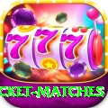 india upcoming cricket matches Pro v5.1.5