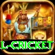 international cricket Elite v1.2.6