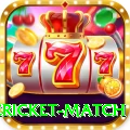 international cricket match Pro1 v2.7.6