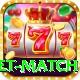 international cricket match Pro1 v2.7.6