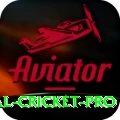 international cricket Royal - Free Download