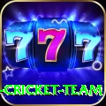 ireland cricket team Master Pro v3.3.0
