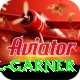 joel garner VIP Edition v2.3.9