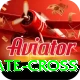 kate cross Pro v2.6.3