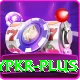 luckypkr Plus Edition v1.3.2