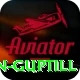 martin guptill Plus v4.5.0