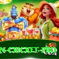 most centuries in cricket APK Champion v5.2.8
