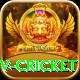 ndtv cricket Plus v2.7.0