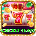 new zealand cricket team Max Pro v2.5.3
