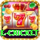 one cricket Gold v2.7.3