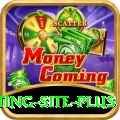 Pakistan Betting Site - Gaming Elite