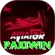 Pakiwin Pro v5.0.3
