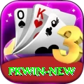 PKWin Mobile VIP