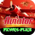 pkwin VIP v4.0.9