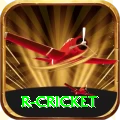 r cricket Plus v4.2.8