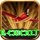 r cricket Plus v4.2.8