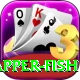 red snapper fish Plus v2.2.3