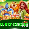risk free bet cricket Apps (Tools & Injectors) Ultimate v2.2.1