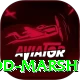 rod marsh Gold Pro v2.7.5