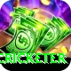 shahrukh khan cricketer Games (Casino & Earning) Ultimate v4.8.5